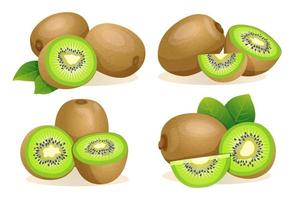 Set of fresh kiwi fruit whole, half and cut slice illustration isolated on white background vector