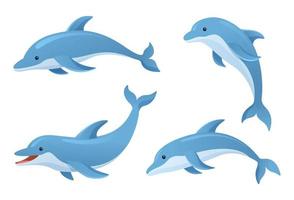 Cute dolphins in various poses cartoon illustration vector