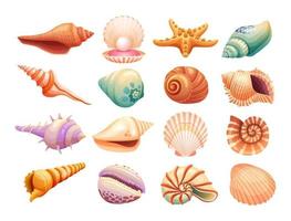 Set of seashells illustration isolated on white background vector