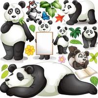 Panda in different actions vector