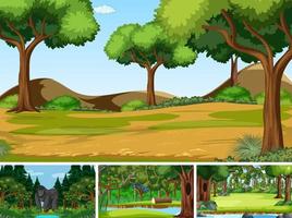 Four forest scenes with many trees vector