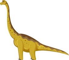 Brachiosaurus dinosaur on white background vector