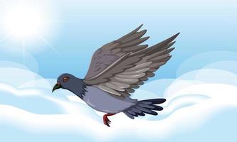 Rock dove bird flying in the sky vector