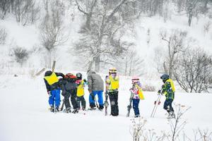 Group of children learn to ski in Bakuriani ski academy, Georgia photo