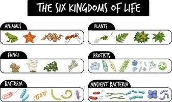 The six kingdoms of life vector