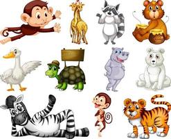 Set of animal cartoon character vector