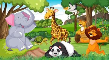 Wild animals in the jungle vector