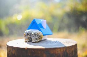 The skull and his house in the morning. photo