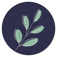 Vector icon and emblem for social media story highlight covers. Design templates for bloggers, photographers and designers. Abstract minimal circle backgrounds with nature leaves.