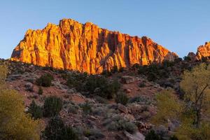 rockface brillante al atardecer en el parque nacional zion foto