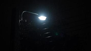 chovendo noite e luz. gotas de chuva de 4k filmagens caindo na noite video