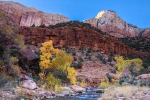 Autumn in Zion photo