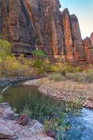 Autumn in the  Virgin River Valley in Zion photo