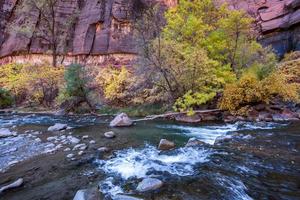 Small Rapids on the Virgin River photo