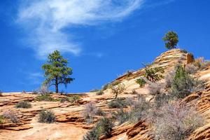 escarpa antigua en el parque nacional zion foto