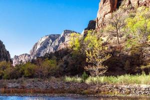 Sun and Shadow in Zion photo