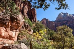 otoño en el parque nacional zion foto