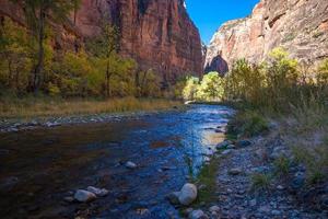 November Sunshine Falls on the Virgin River photo