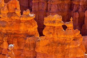 Scenic View of Bryce Canyon photo