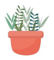 plant in red pot vector