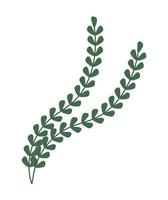 two green branches vector