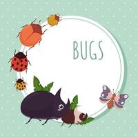 cute bugs cartel vector