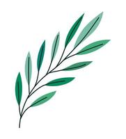 plant stem icon vector