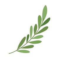 green leaves branch vector