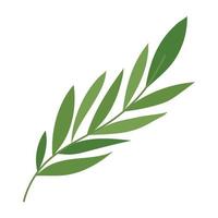 green leaves branch design vector