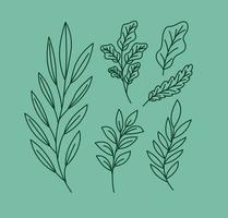 six plants stems vector