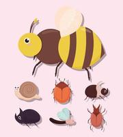 seven cute bugs vector