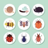 nine cute bugs vector