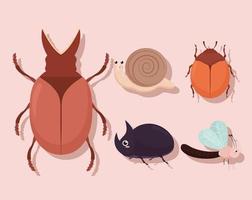 five cute bugs vector