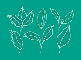 tarjeta de hojas verdes vector