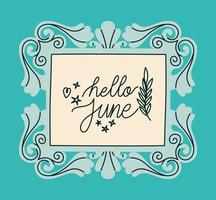 frame of hello june vector