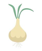 fresh onion design vector