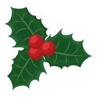 mistletoe branch design vector