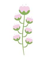 pink flowers design vector