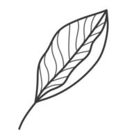 cute leaf design vector