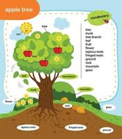 Ilustración de vector de árbol de manzana de vocabulario de educación