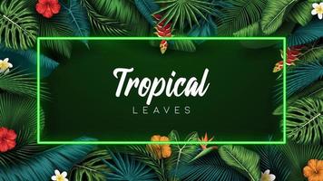 fondo de hojas de verano tropical con plantas de la selva vector