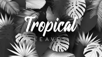 Tropical summer leaves background with jungle plants vector