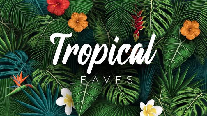 Tropical summer leaves background with jungle plants