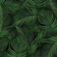 Tropical summer leaves background with jungle plants vector