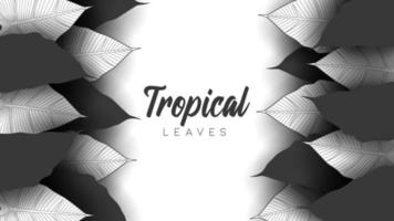 Tropical summer leaves background with jungle plants