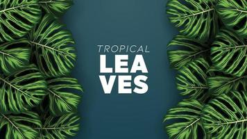 Tropical summer leaves background with jungle plants vector