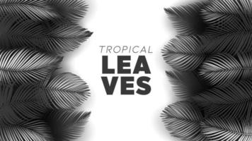 fondo de hojas de verano tropical con plantas de la selva vector