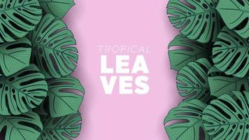 Tropical summer leaves background with jungle plants vector