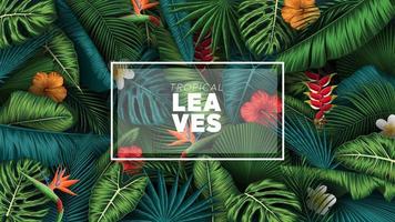 Tropical summer leaves background with jungle plants vector