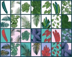 conjunto de fondo de hojas de verano tropical con plantas de la selva vector